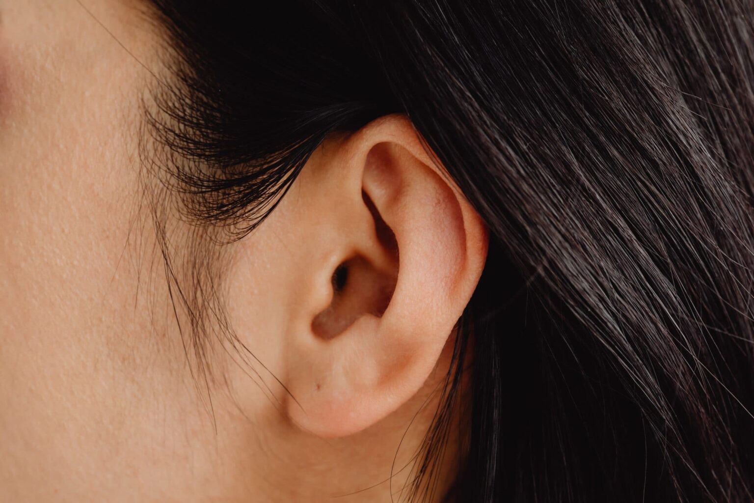 Close up of ear.